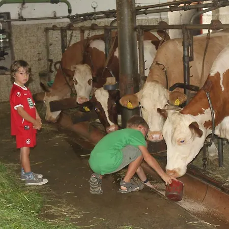 Πανσιόν Puhringer