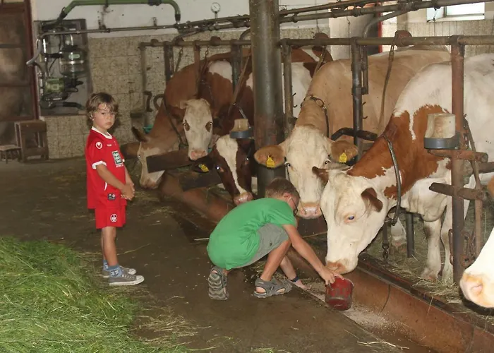 Πανσιόν Puhringer